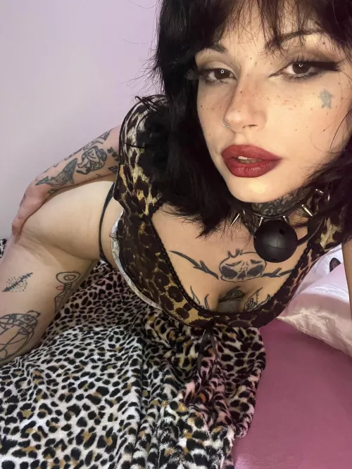 Hurry and get a good look, and then get behind me