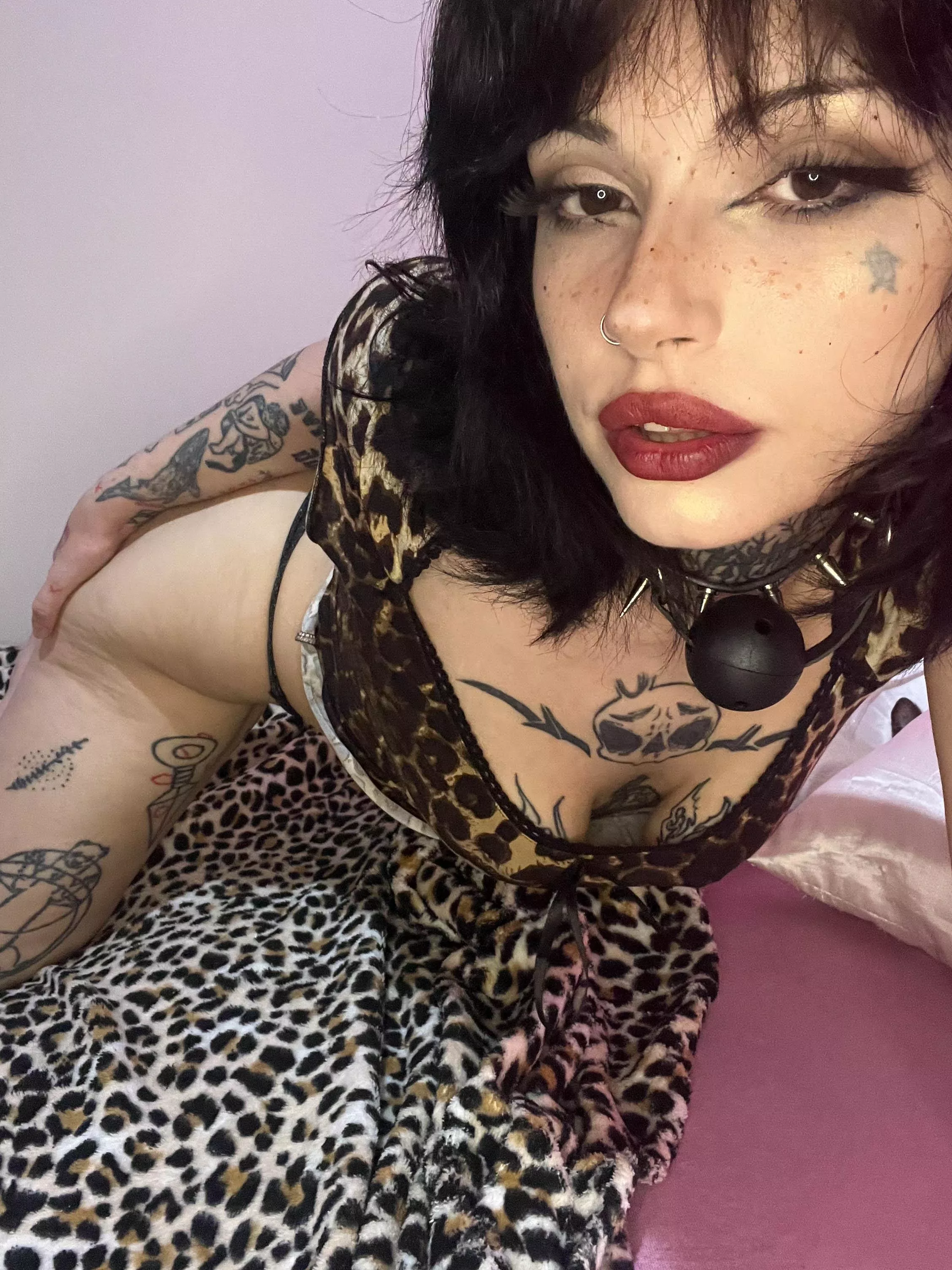 Hurry and get a good look, and then get behind me