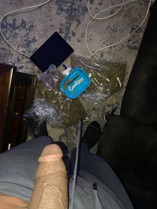 I dropped (M)y cookies