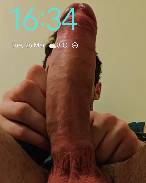 I love showing of my big cock especially when on busy public transport. You should see the stares I get hehe.