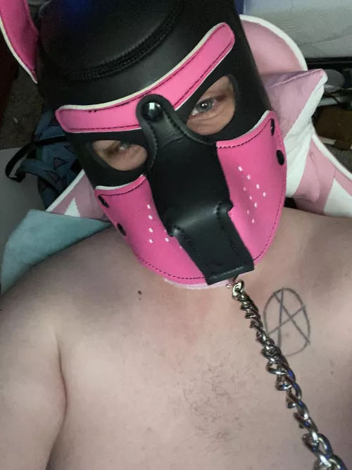 I wanna be a good pup