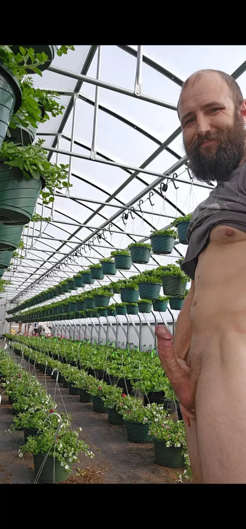 Let's spread good vibes for the greenhouse 