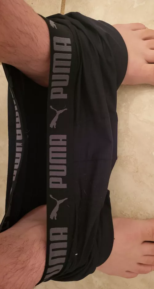 Pumas are so comfortable 👅