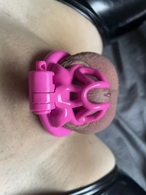 The most humiliating comment. And GO !