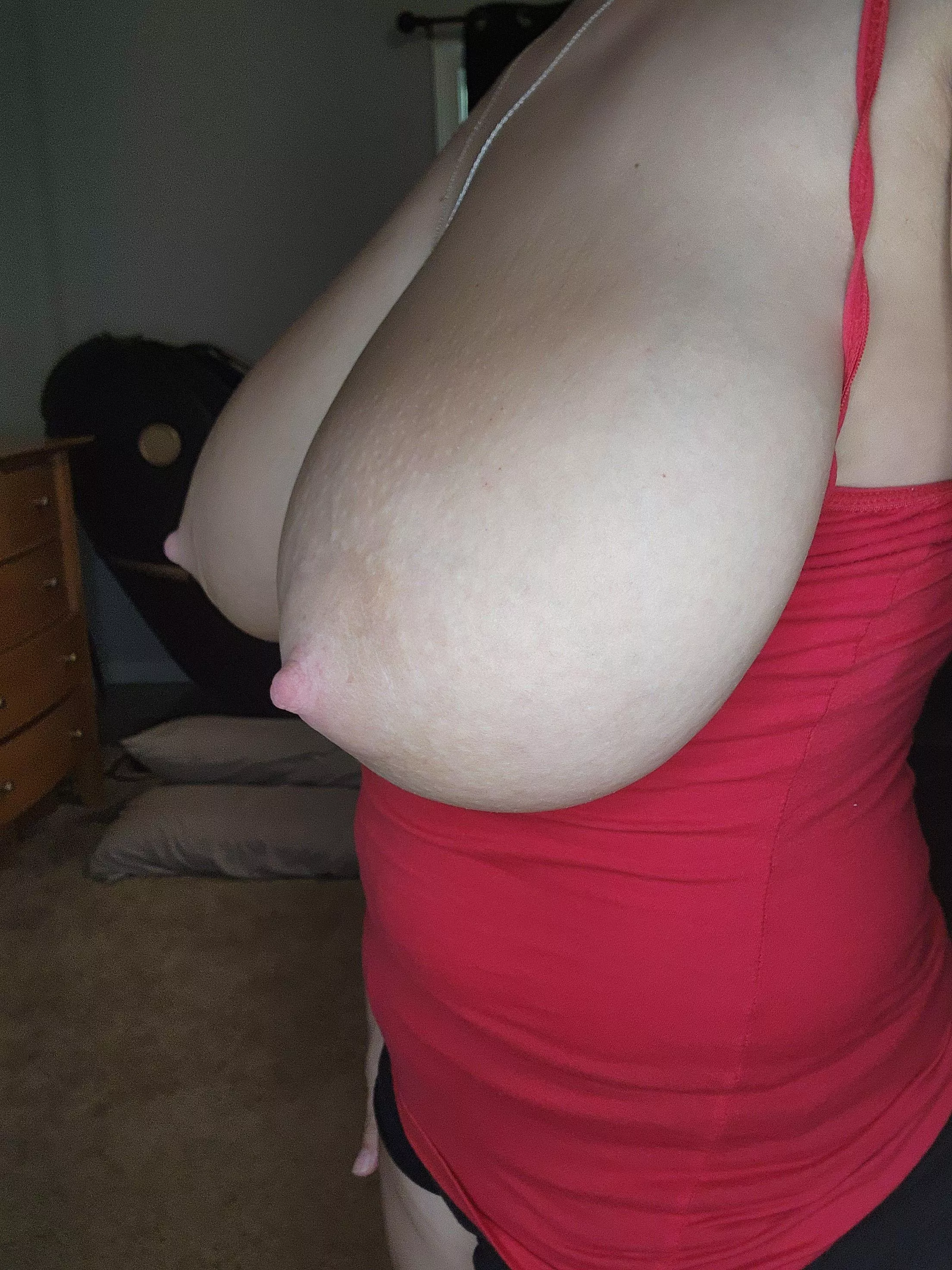 Too big or just right....