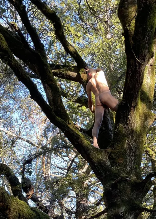 🌳Tree Pose Tuesday🌳