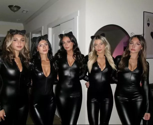 Which cat woman is yours?