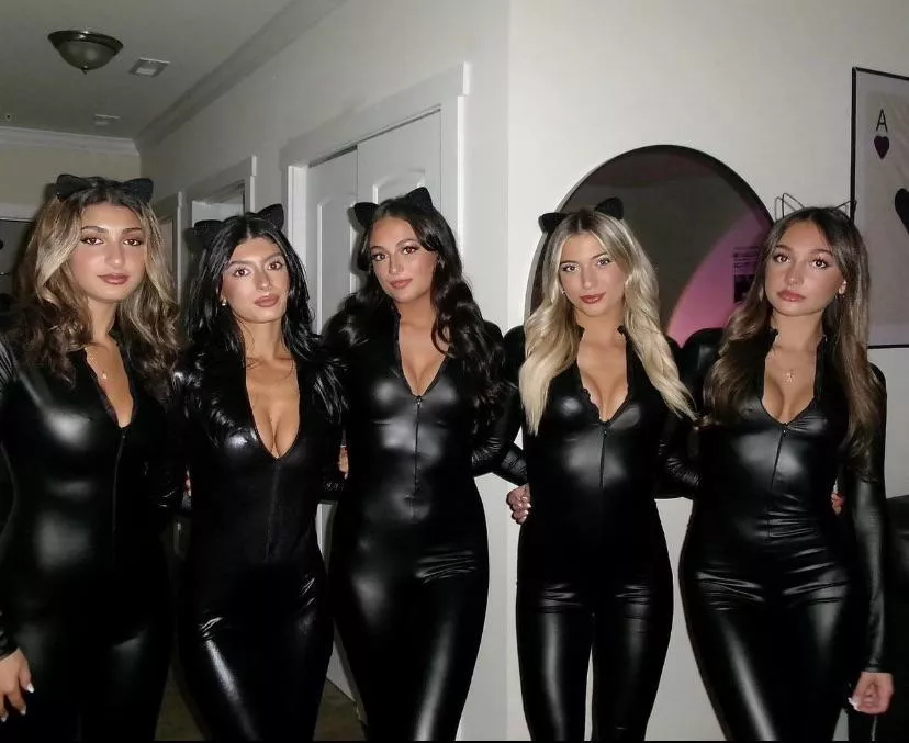Which cat woman is yours?