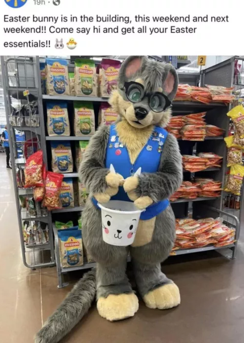 Why is this Walmart being hated on? Ik it’s not a bunny fursuit but I saw a bunch of people hating on them in general :(