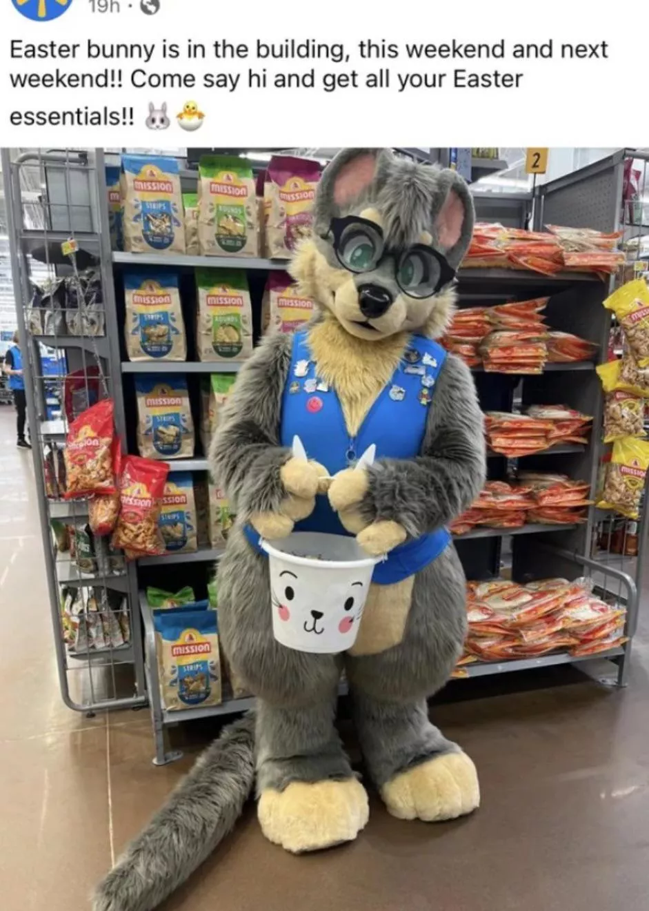 Why is this Walmart being hated on? Ik it’s not a bunny fursuit but I saw a bunch of people hating on them in general :(