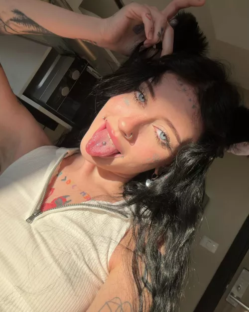 you'd like to play with that cute cat, wouldn't you?