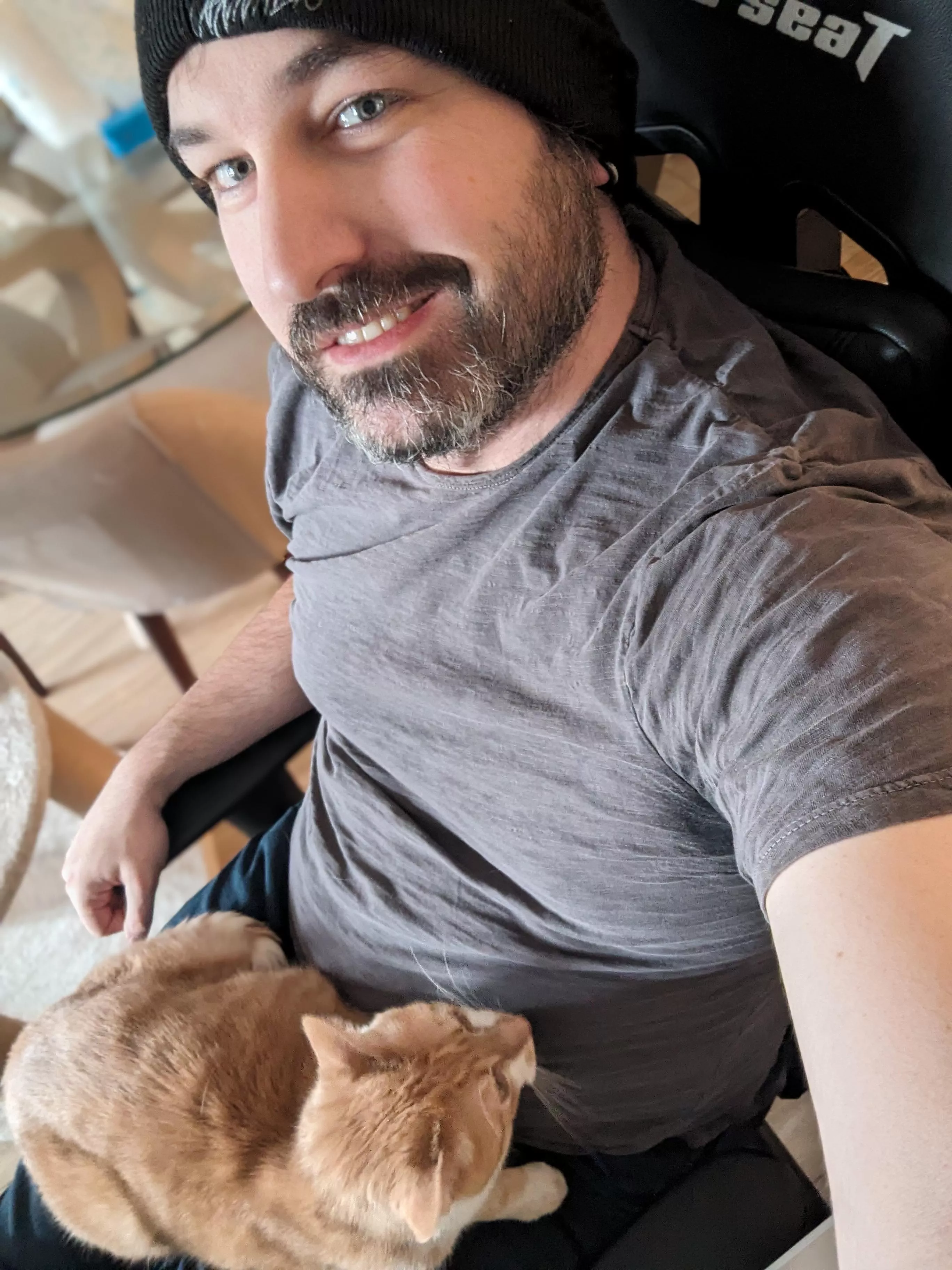 Benefit of working from home, I'm never without a cuddle buddy! 