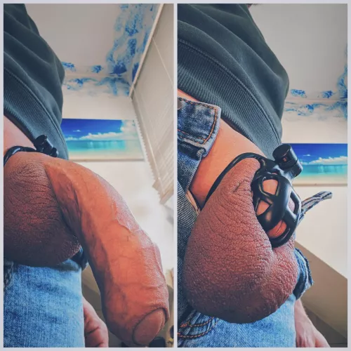 Big Cock in small Cage is possible