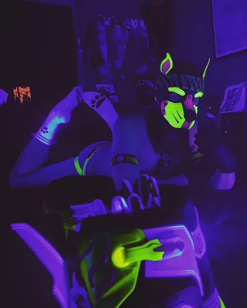 Blacklight pup! Join me?