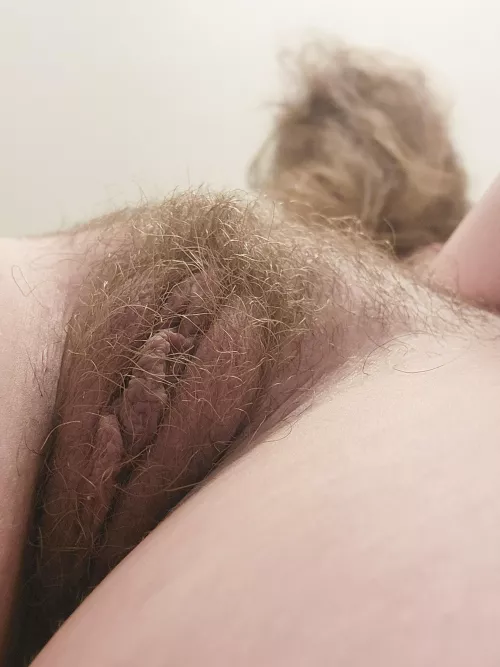 Brush your kitty everyday 