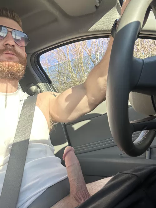 Drove around the park hoping someone would see my cock