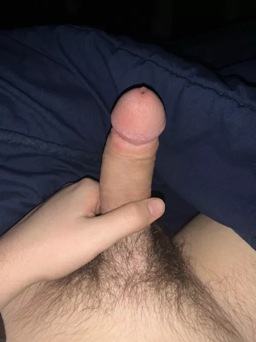 HMU top for top fit pits++ 18-25