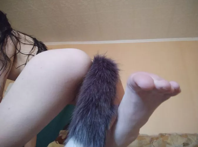 just don't pull my tail, please...