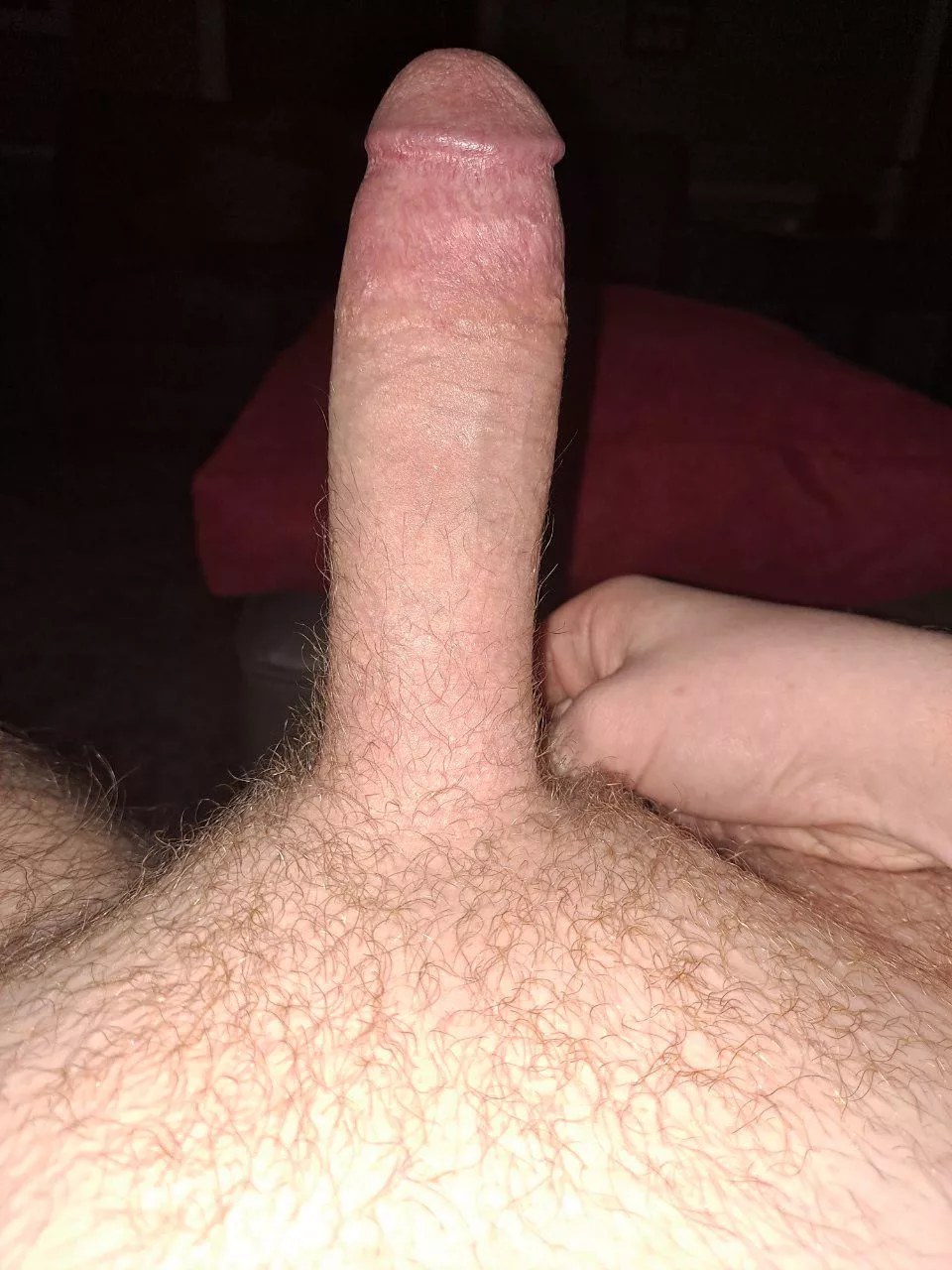 Looking for some long-term subs to be only mine, Dms open~