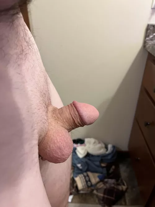 My boyfriends dick. Opinions?