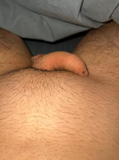 Softie foreskin