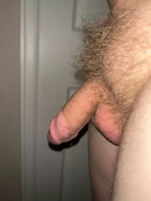 Softies are nice too