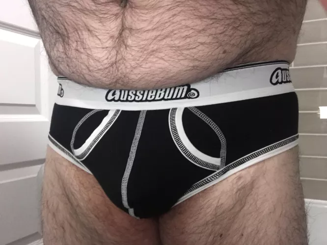 U.K. briefs bear - anyone want to play?