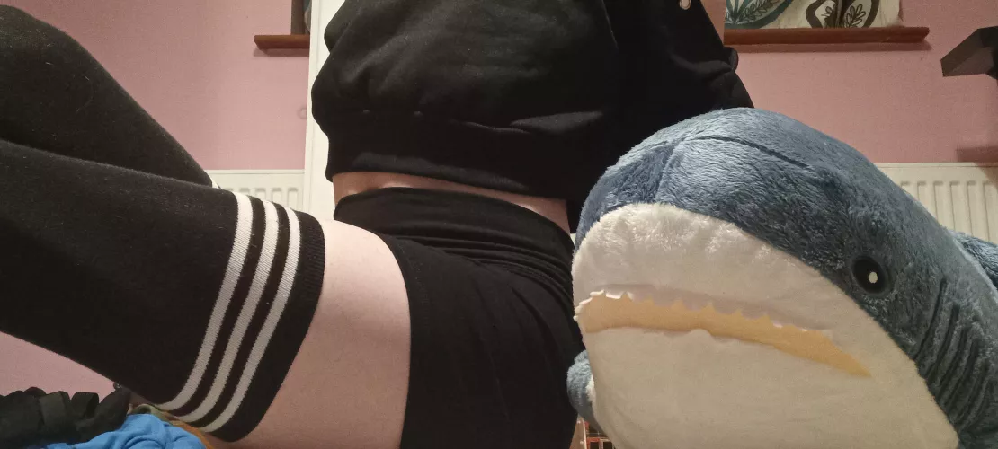 What should I call my shark? (First pic)