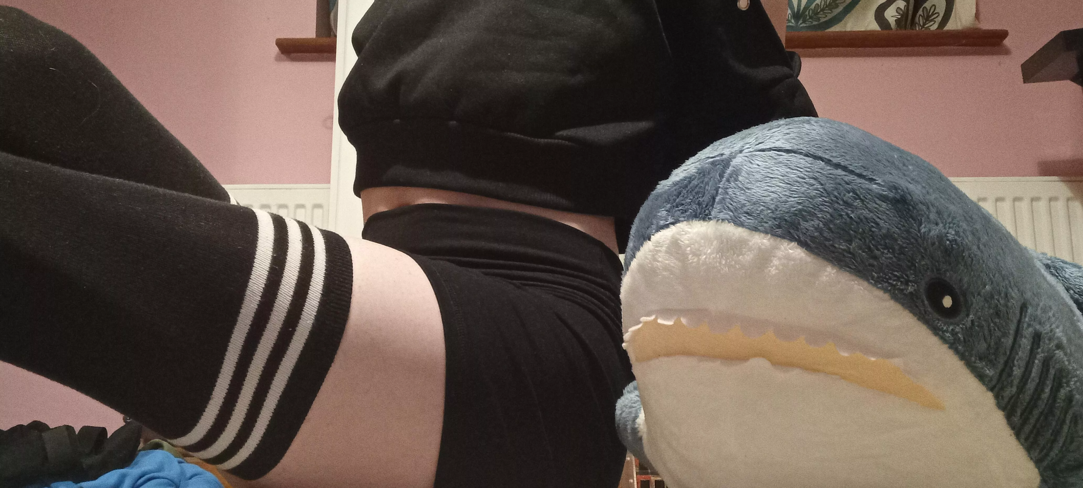 What should I call my shark? (First pic)