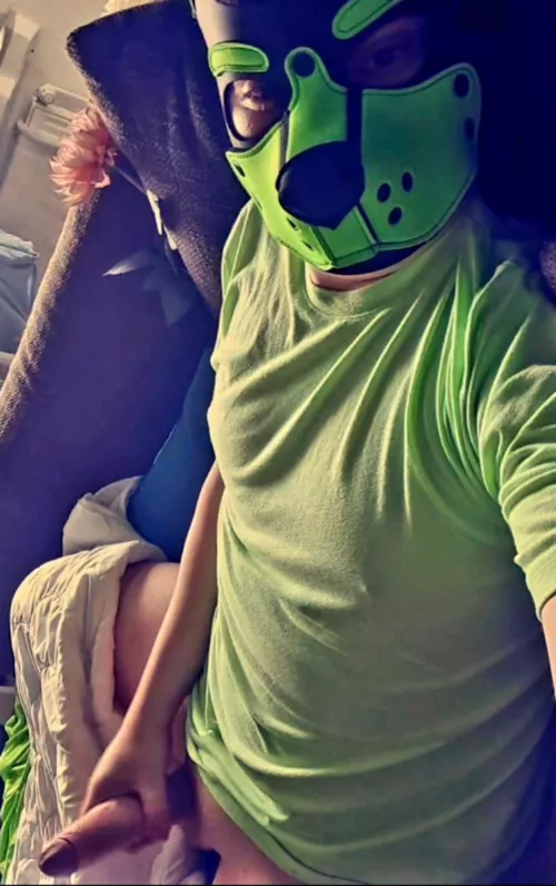 Who wants Newton's bones?