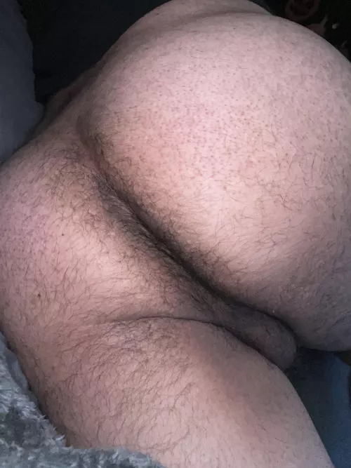 Would anyone enjoy this ass?