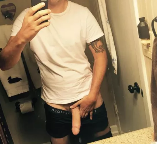 38 army veteran bull looking 