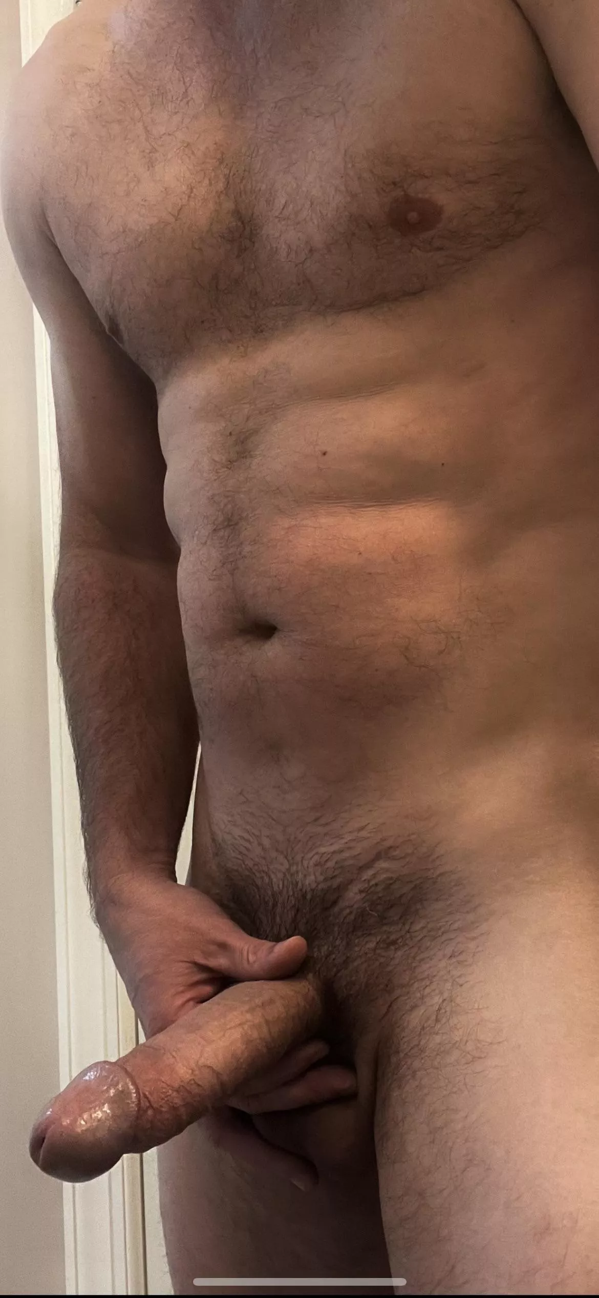 [44] In need of a place to put this fellow!? 