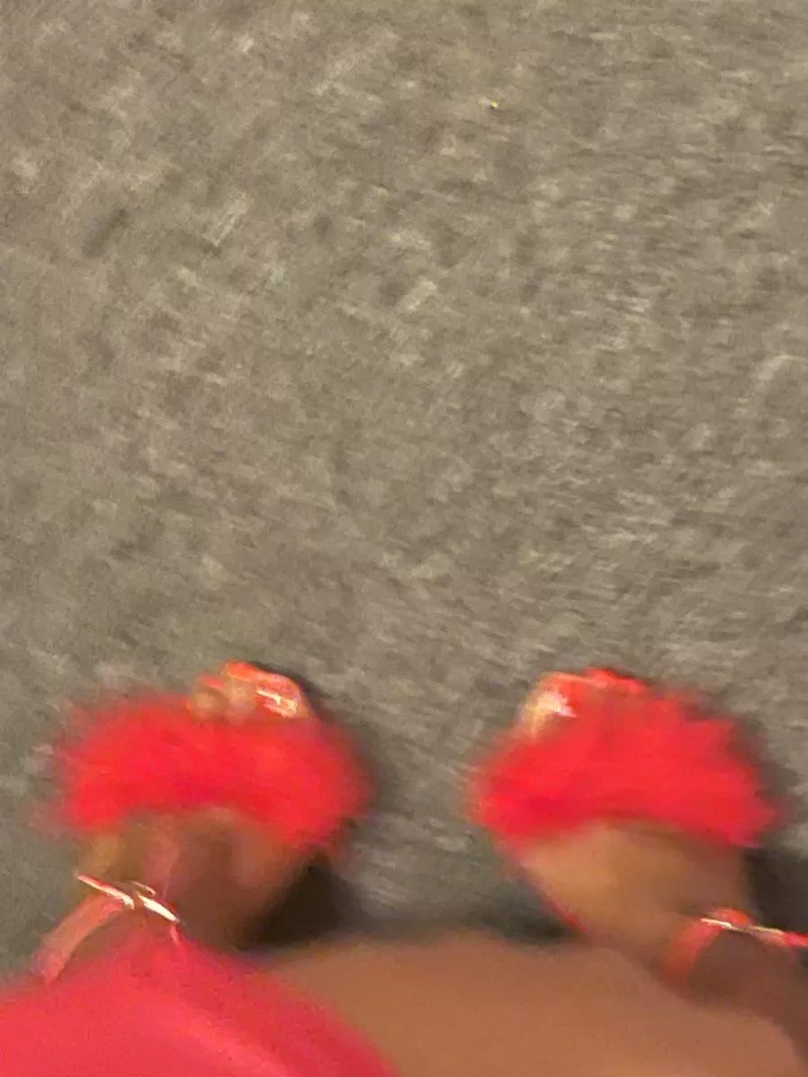 Birthday heels who looking to suck them dry 