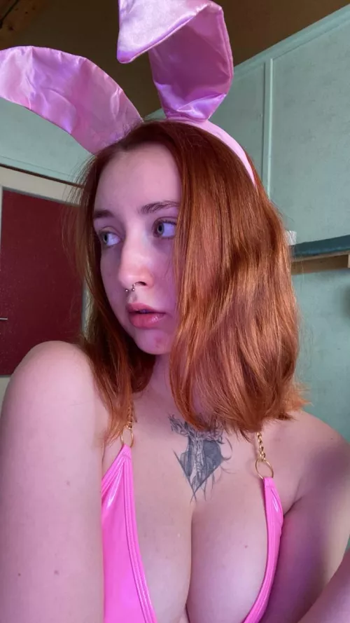 Can this bunny hop on your lap :*