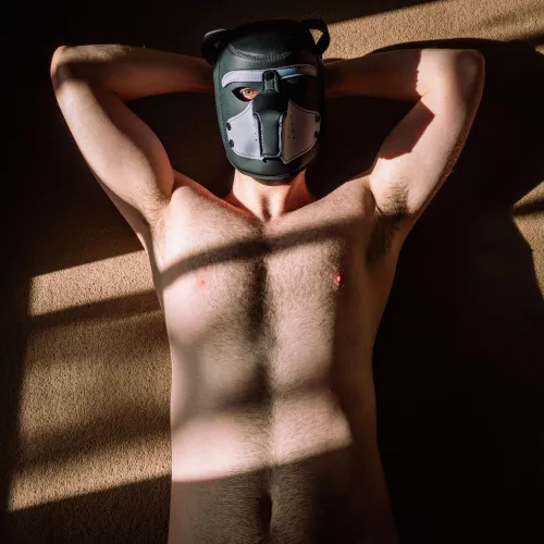 Do I look like a good boy?