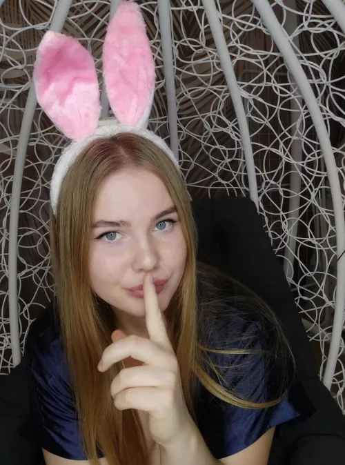 does anyone need a tame rabbit?