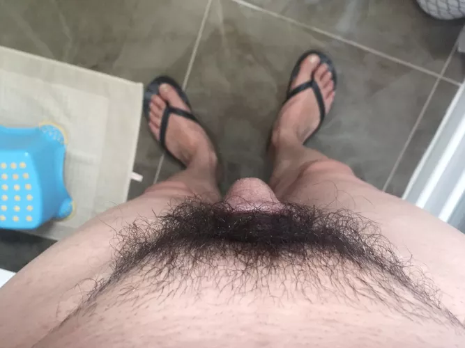 Hairy sof cock