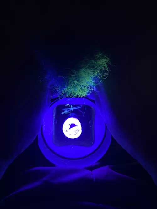 How to make a CAMELGLOW! Xoxo