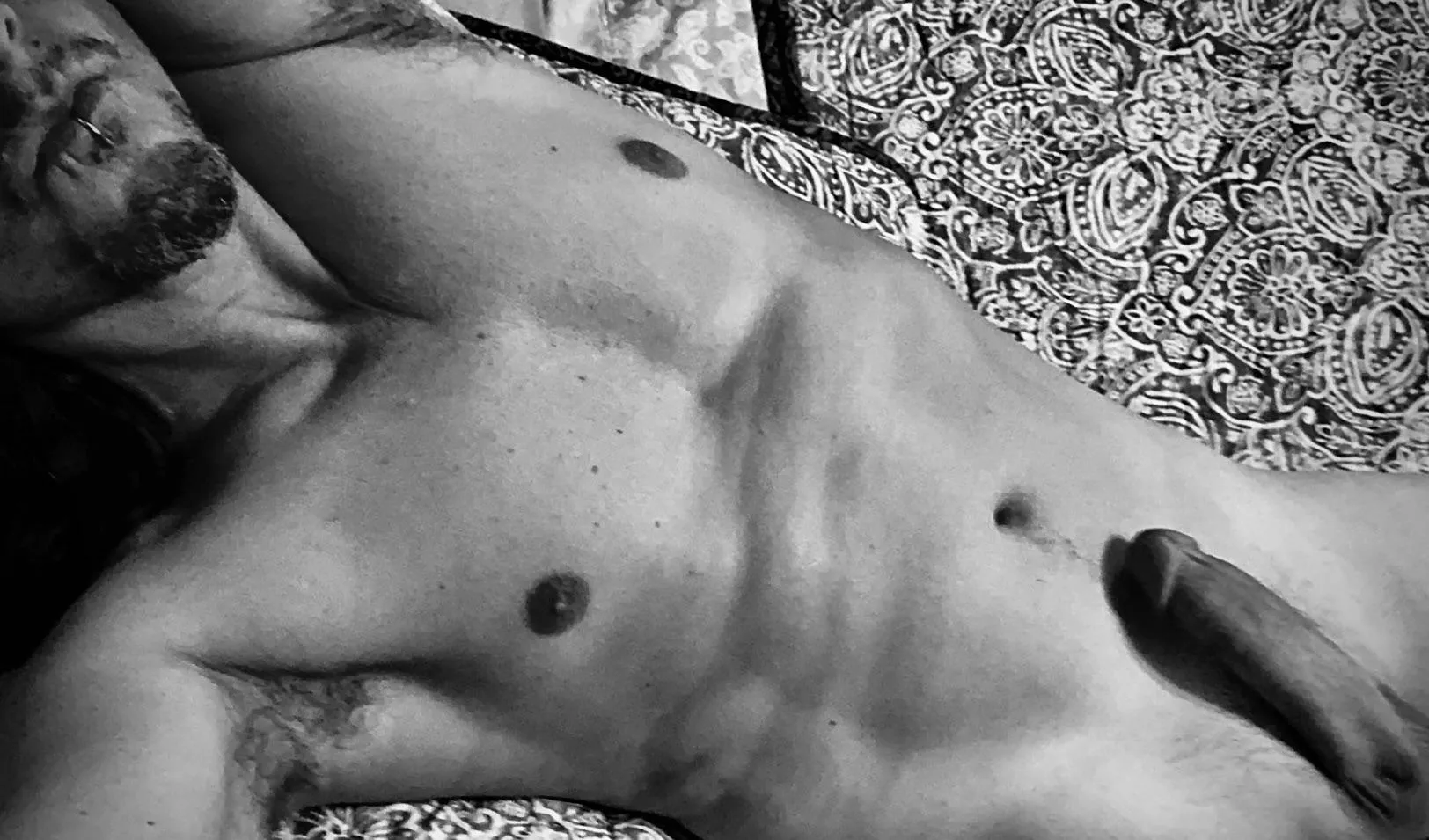 Laid out like a meal (50)