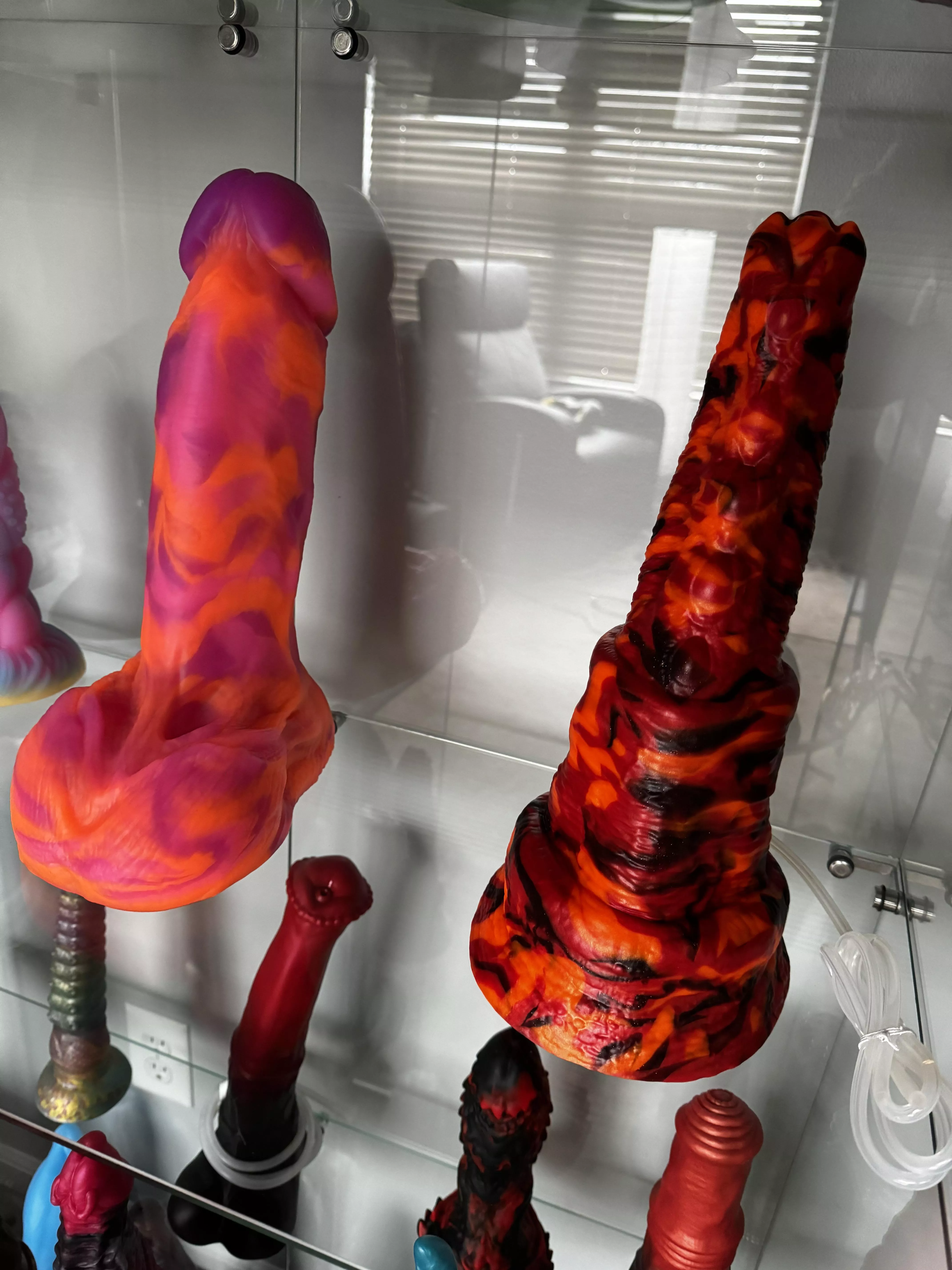 Large Andre has arrived!