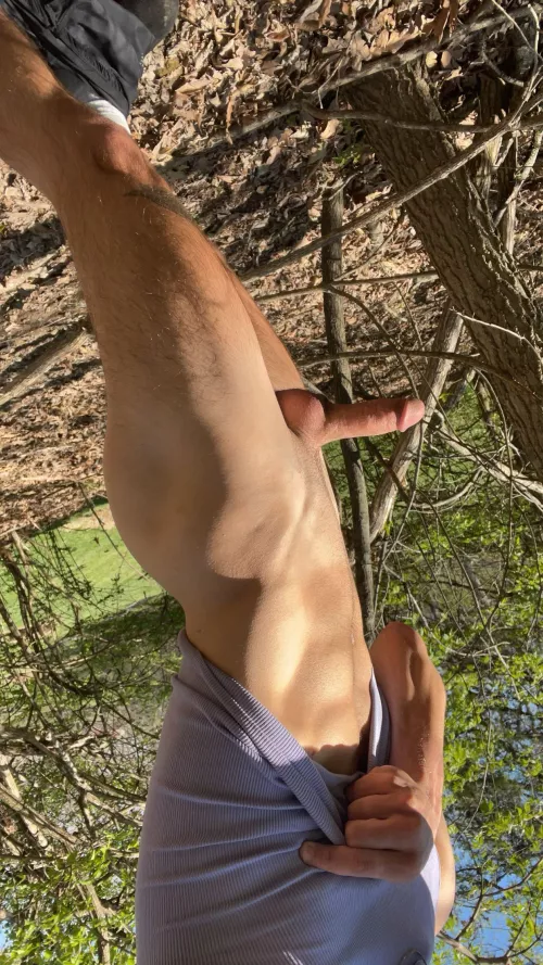 little stroll in the woods