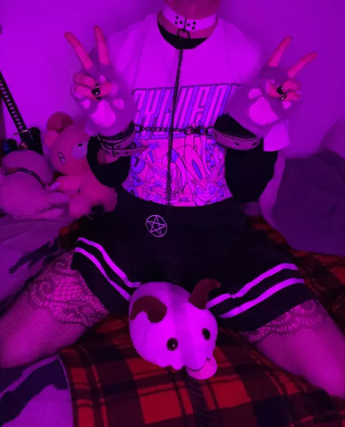 Locked up for what crime? I do no wrong, im just a Cat Meow 🐈