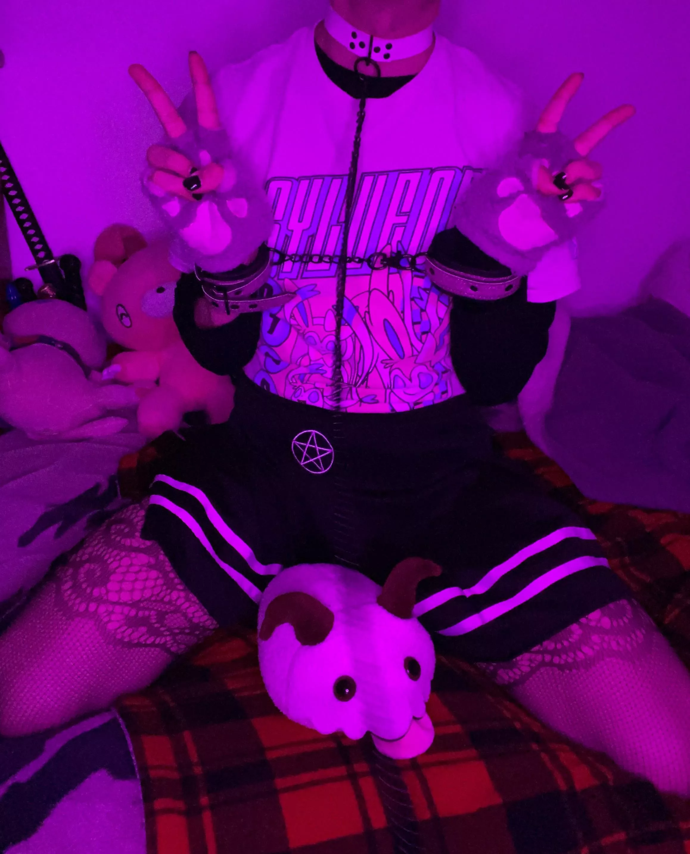 Locked up for what crime? I do no wrong, im just a Cat Meow 🐈