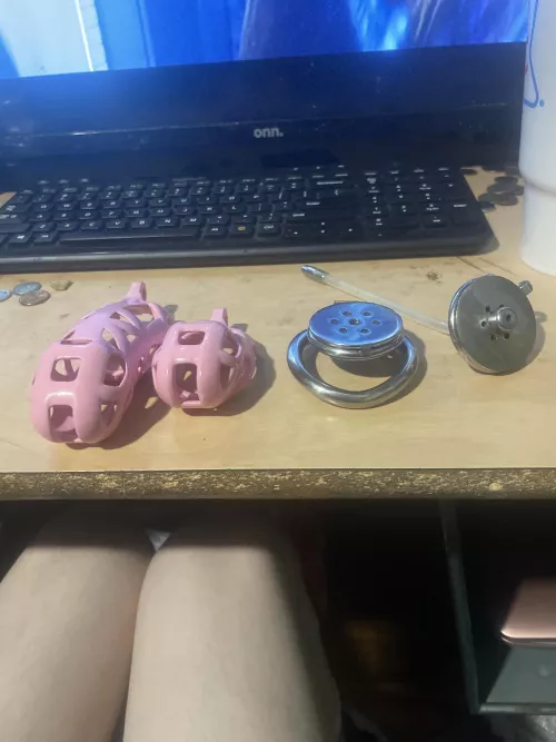 Which cage is the best for long term wear?