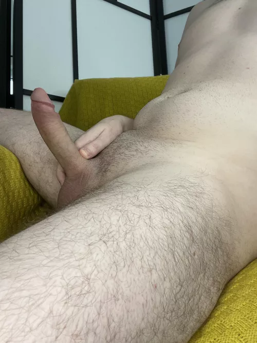 Would you take a seat next or on top of me?