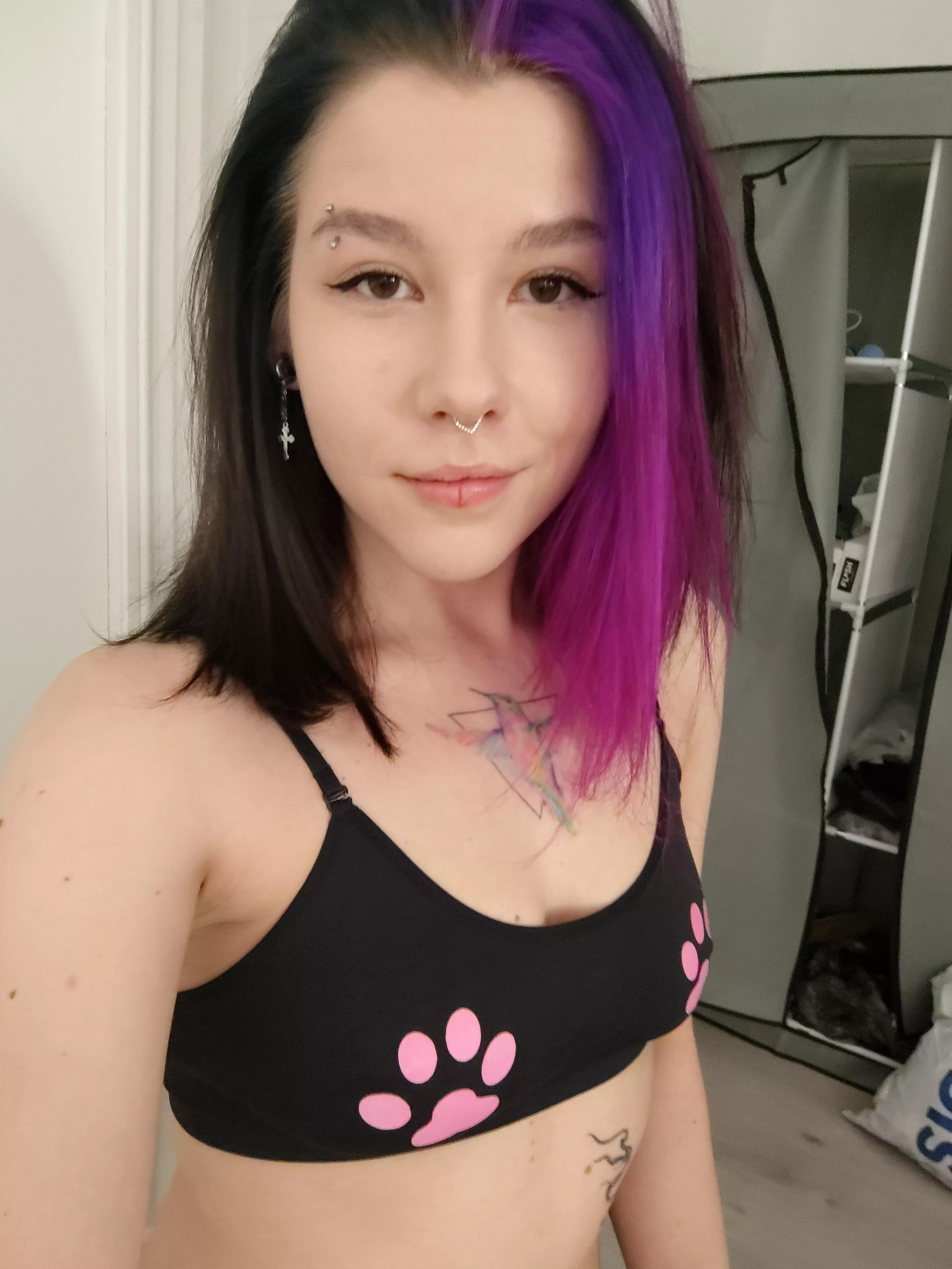 Your colourful cutie