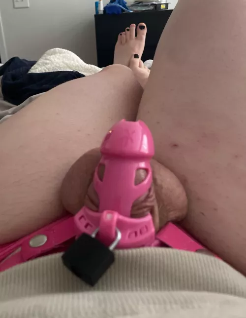 Changed out my cage for a vice; does this cage look too big?