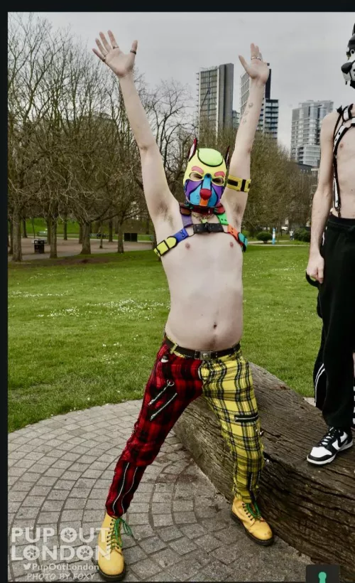 Colourful pup says hey :D