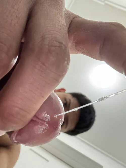 Come lick my precum;)